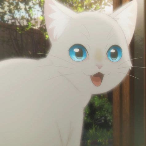 gato blanco anime|gato de alemania anime.